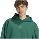 Adidas Ανδρικό φούτερ All SNZ Fleece Hoodie